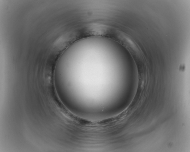 X0000091990553200709061420