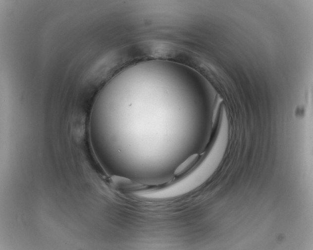 X0000091990554200709061420