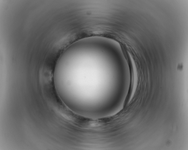 X0000091990555200709061420
