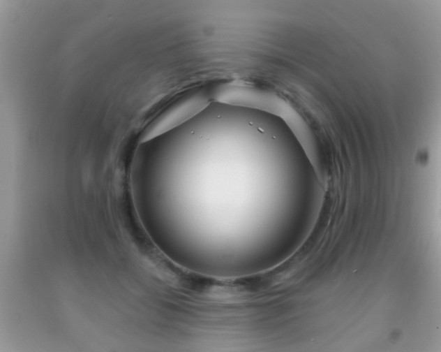 X0000091990556200709061420