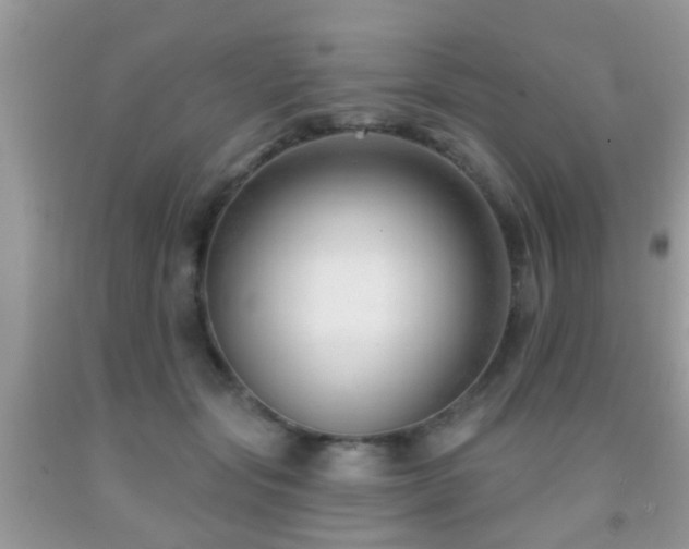 X0000091990557200709061420