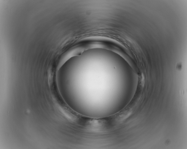 X0000091990558200709061420