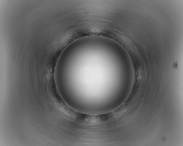 X0000091990559200709061420