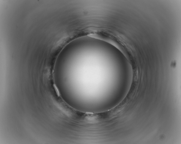 X0000091990560200709061420