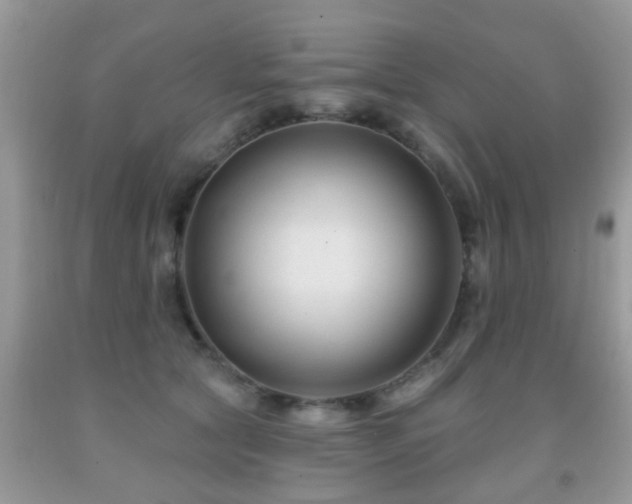 X0000091990561200709061420