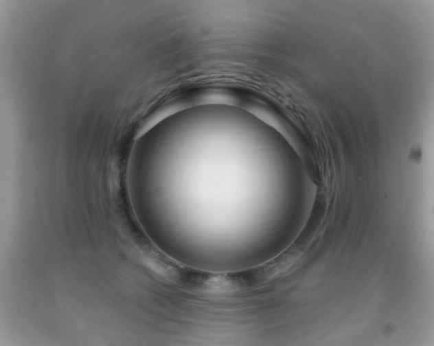 X0000091990562200709061420