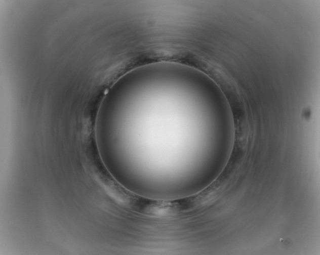 X0000091990563200709061420