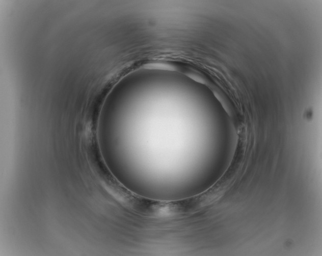 X0000091990564200709061420