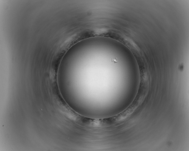 X0000091990565200709061420