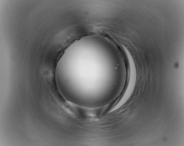 X0000091990566200709061420