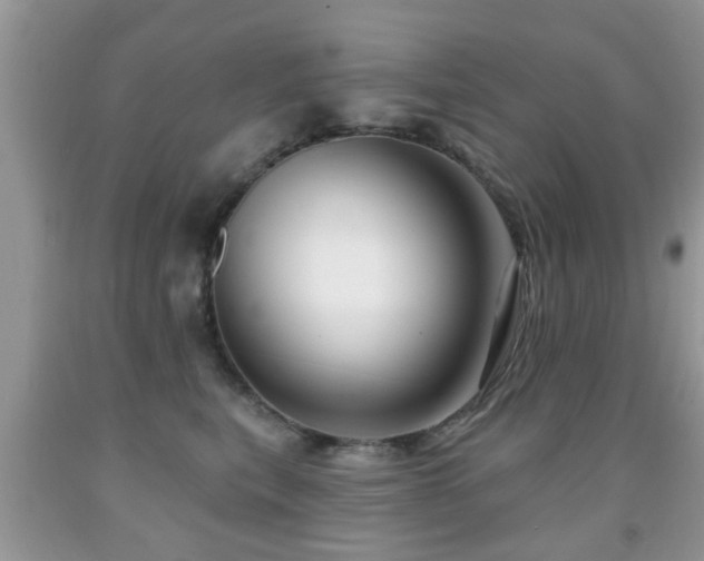 X0000091990567200709061421