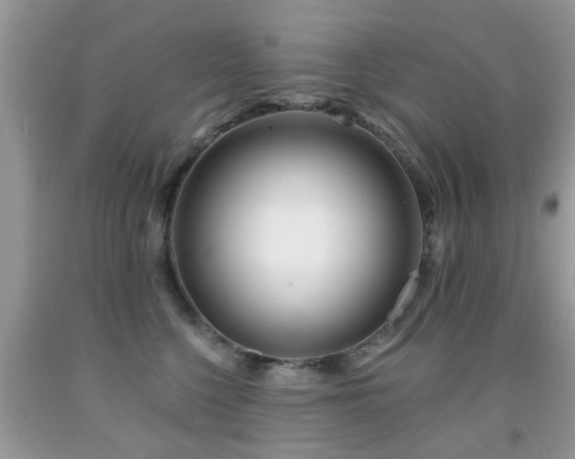 X0000091990568200709061421
