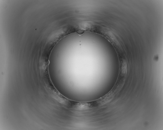 X0000091990569200709061421