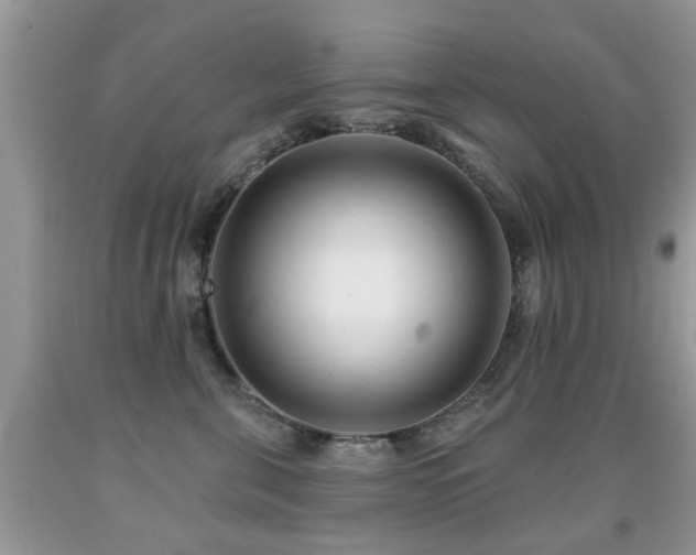 X0000091990571200709061421