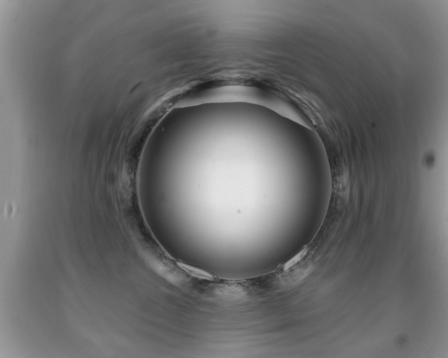 X0000091990572200709061421