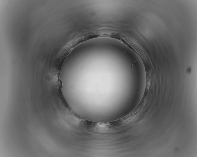 X0000091990573200709061421