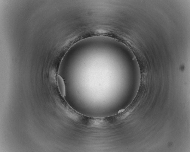 X0000091990575200709061421