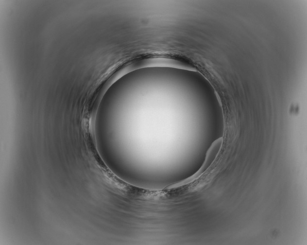X0000091990576200709061421