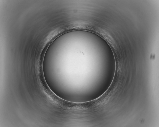 X0000091990578200709061420