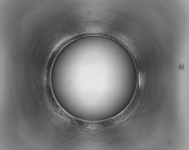 X0000091990579200709061420