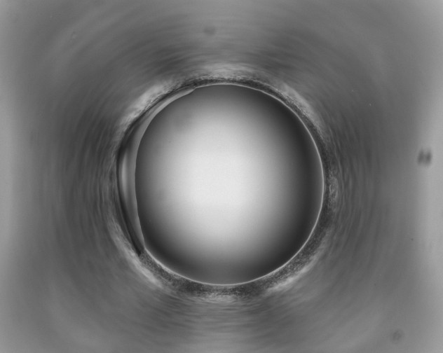 X0000091990581200709061420
