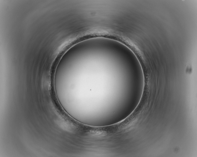 X0000091990582200709061420