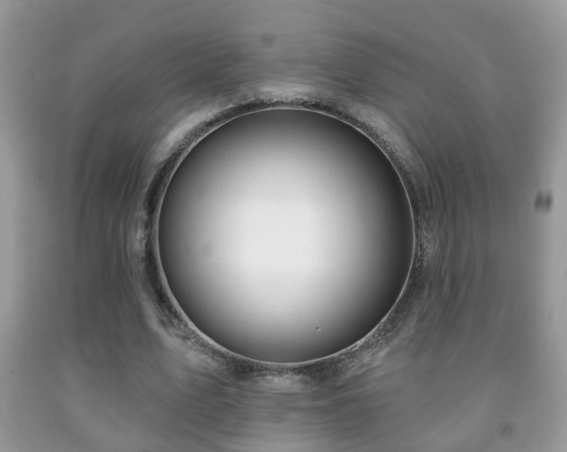 X0000091990583200709061420
