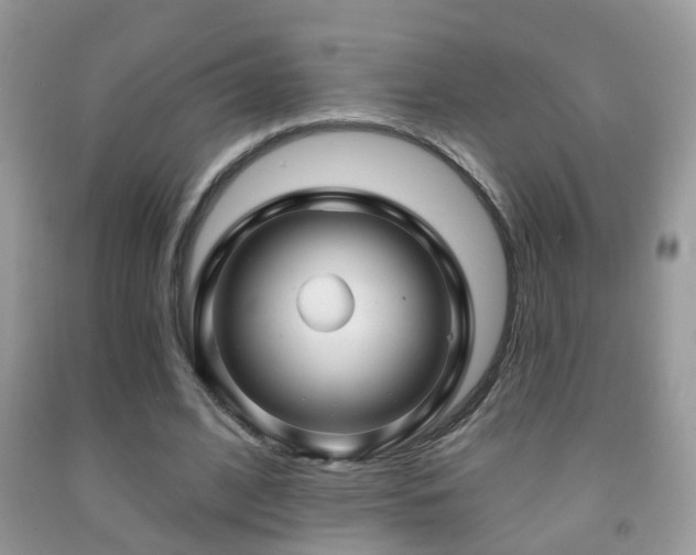 X0000091990584200709061420