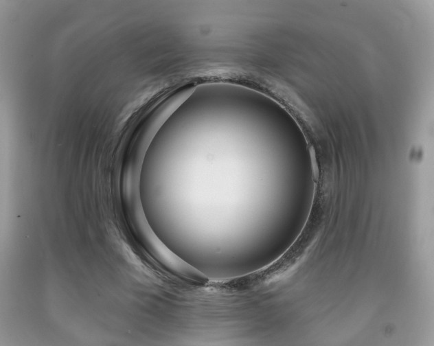 X0000091990585200709061420