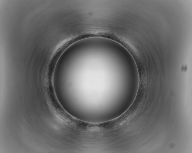 X0000091990587200709061420