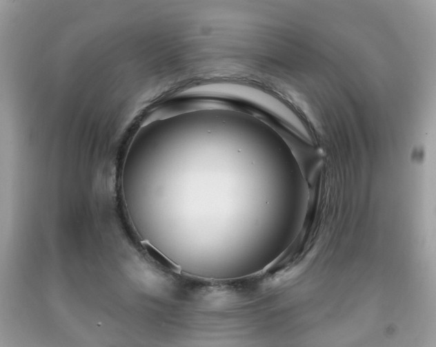 X0000091990589200709061420