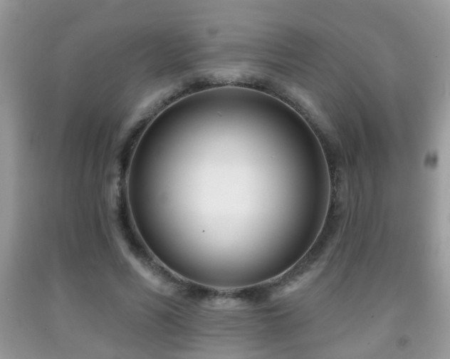 X0000091990590200709061420