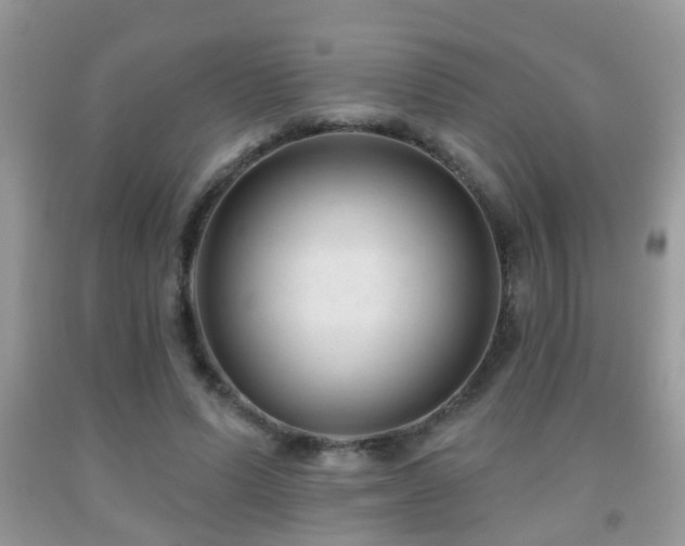 X0000091990591200709061420