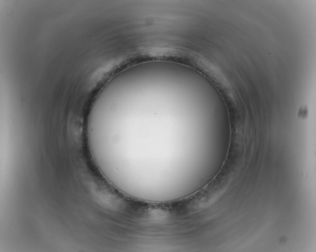 X0000091990592200709061420