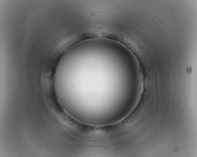 X0000091990594200709061420