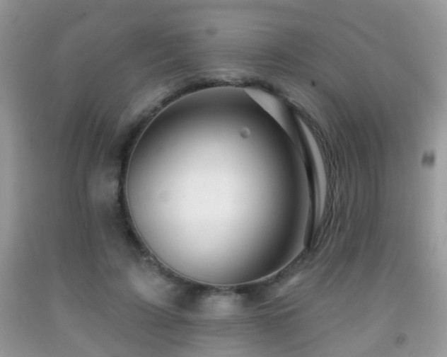X0000091990595200709061420