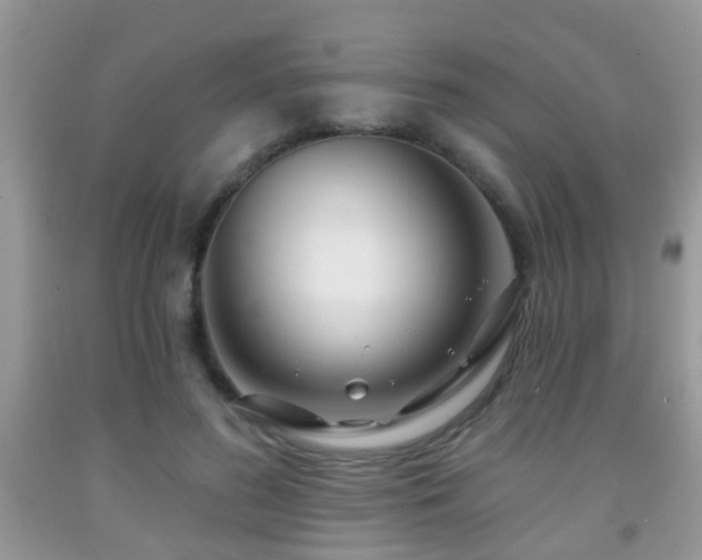 X0000091990596200709061420