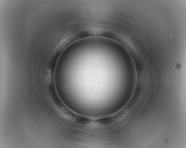 X0000091990598200709061420