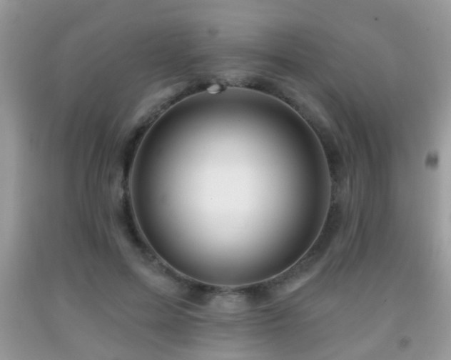 X0000091990599200709061420