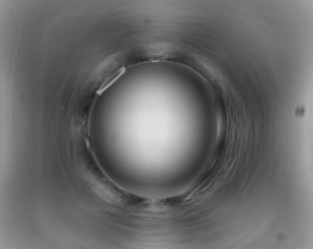 X0000091990601200709061420