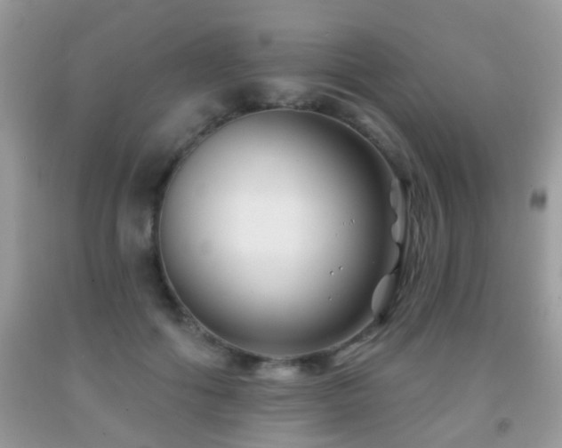 X0000091990602200709061420