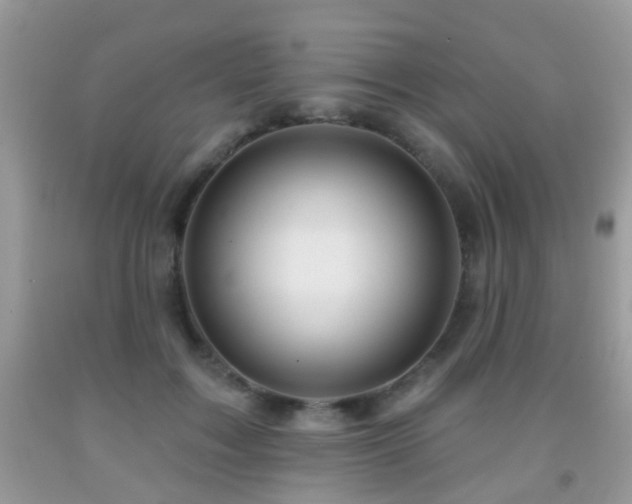 X0000091990603200709061420