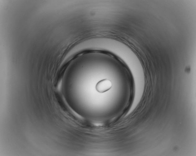 X0000091990604200709061420