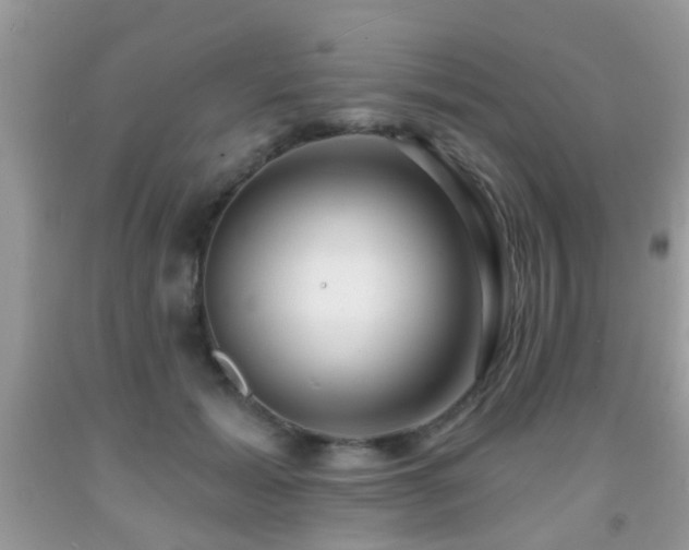 X0000091990605200709061420