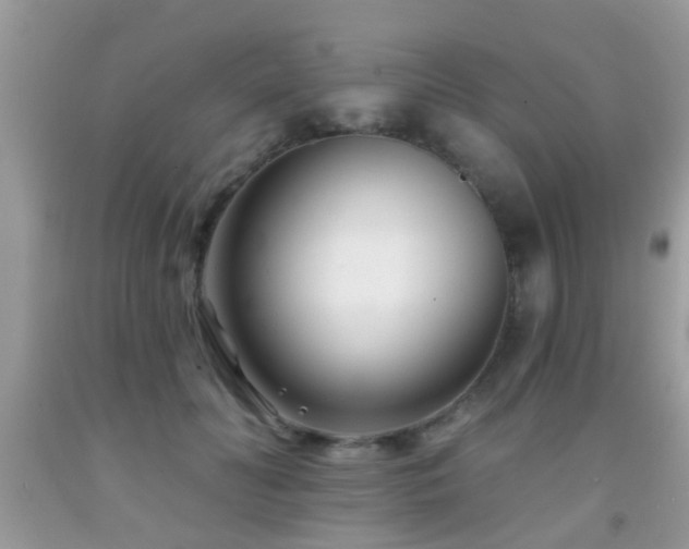 X0000091990606200709061420