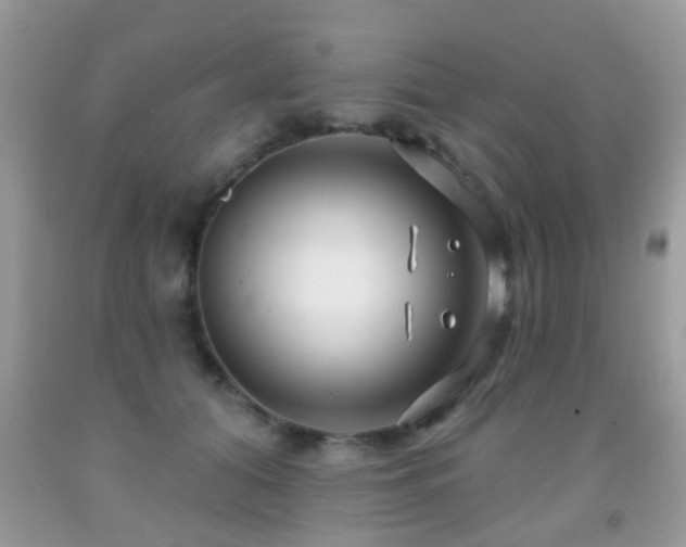 X0000091990608200709061420