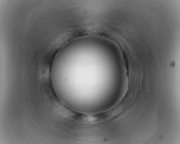 X0000091990610200709061420