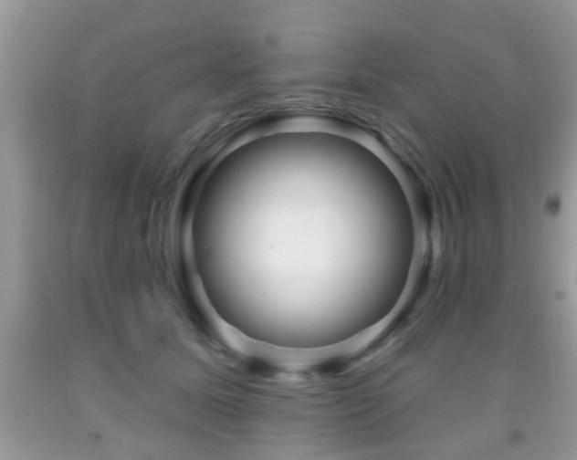 X0000091990611200709061420