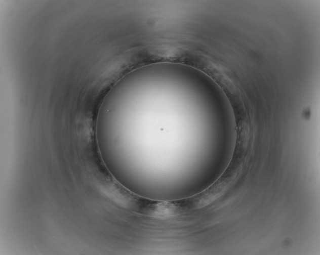 X0000091990612200709061420