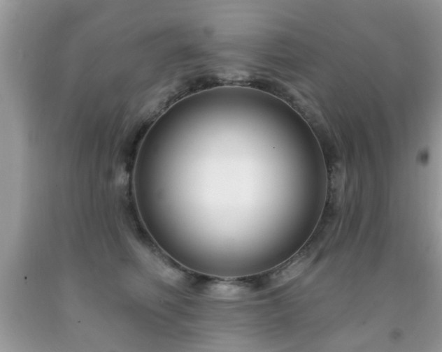 X0000091990614200709061420